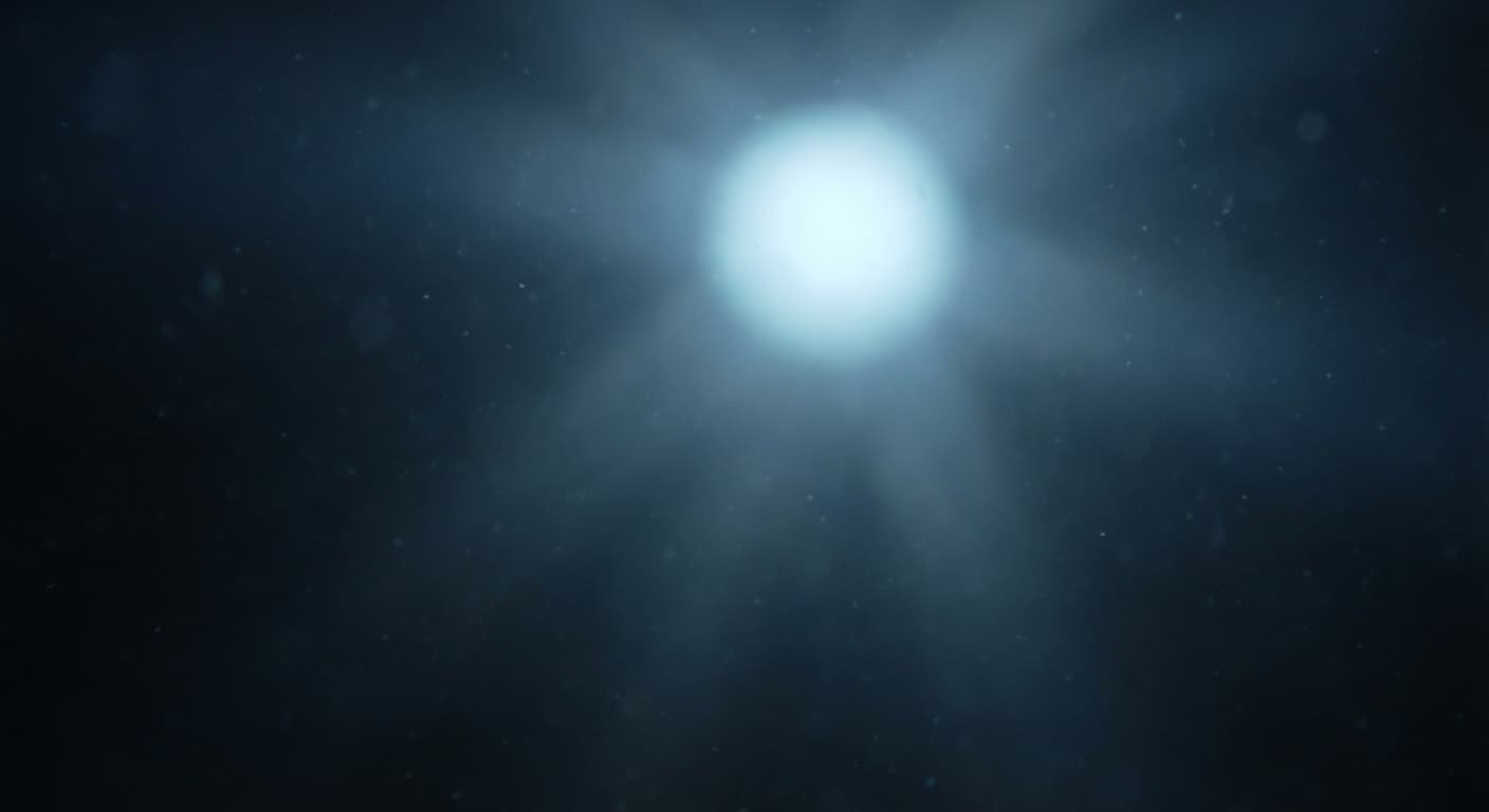 What the Light Finds