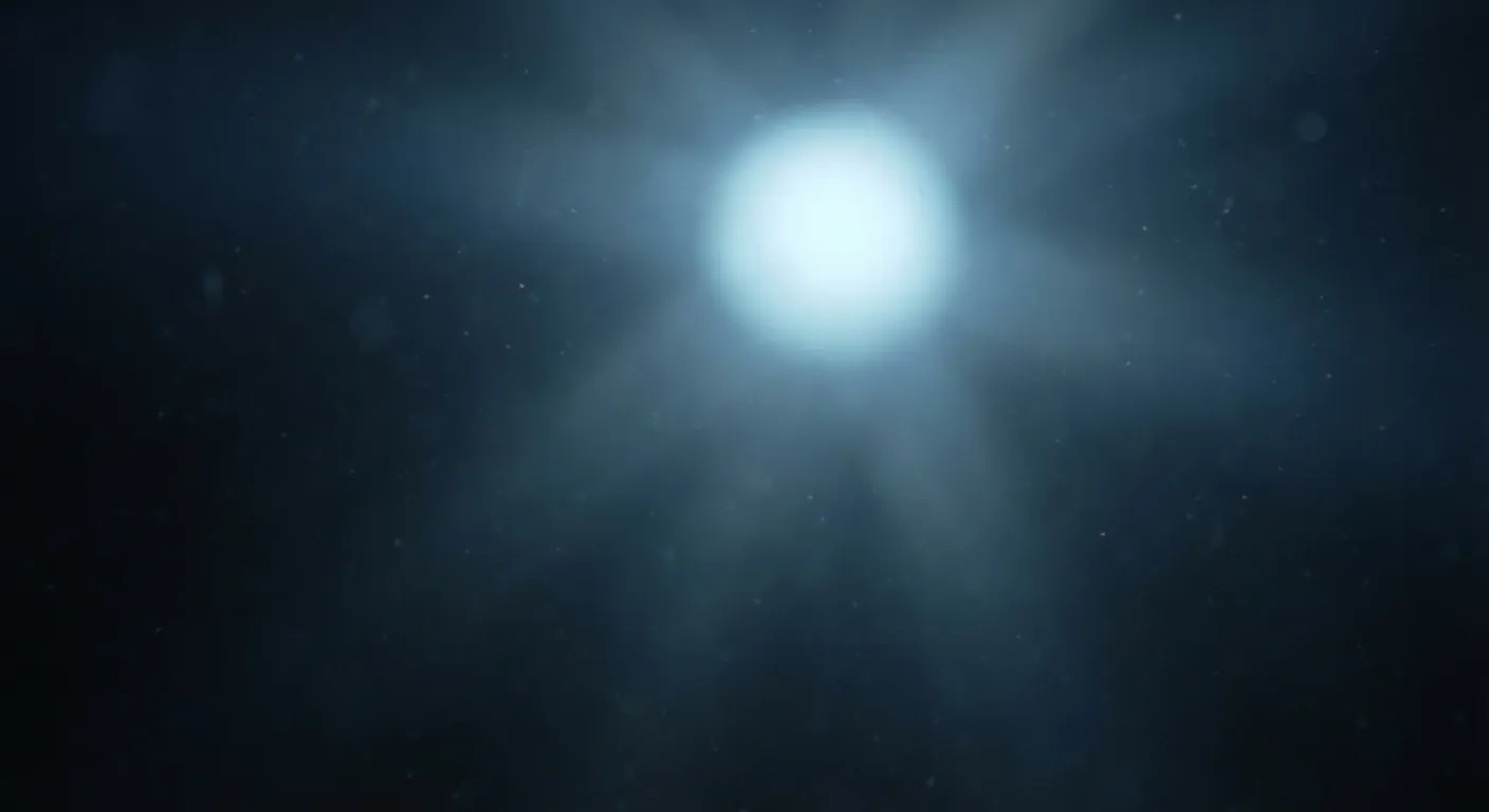 What the Light Finds